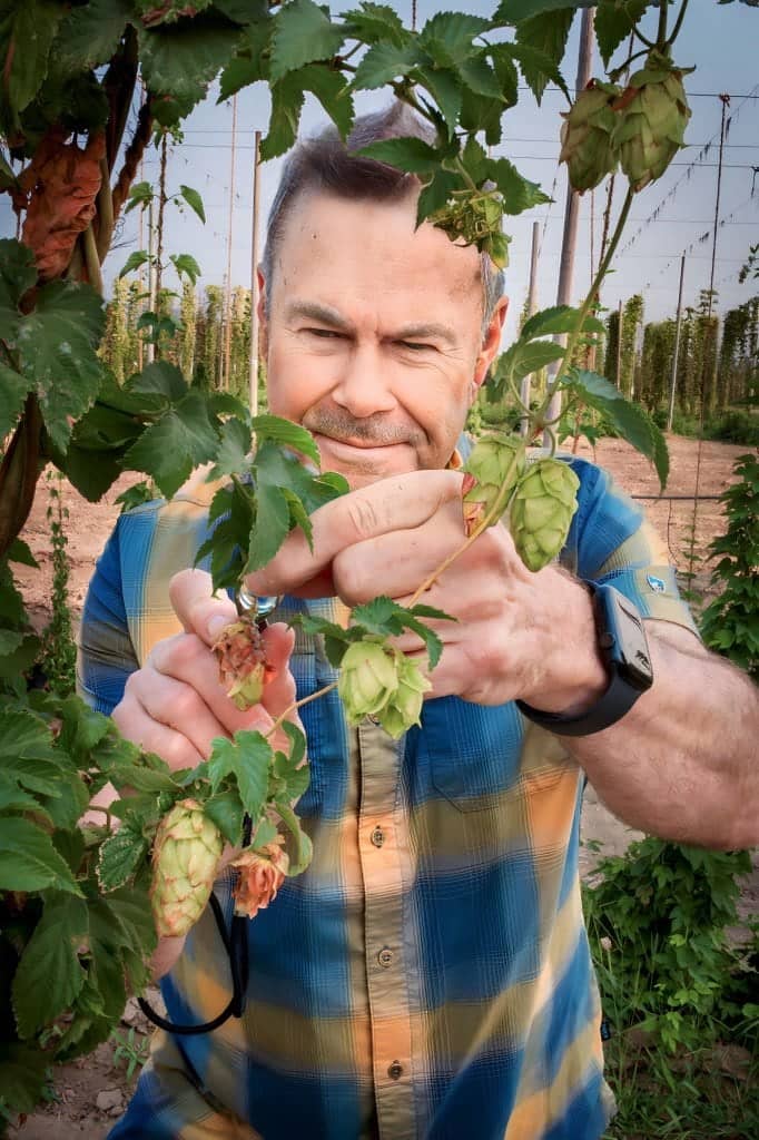 Dr. John Henning inspecting hop plants in a field, advancing hop genomics and breeding research