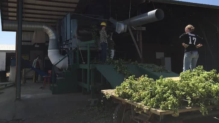 Step 6: Elite Stage Production (3-4 years)